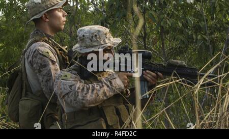 AUSTRALIAN ARMY BASE ROBERTSON KASERNEN, Darwin-US-Marines mit 3Rd Battalion, 4th Marine Regiment, 1st Marine Division, Marine Drehkraft Darwin, bieten Sicherheit während einer Patrouille, 4. Mai 2017. Ausbildung in Australien gibt der Infanterie Marines eine tolle Möglichkeit, um mehr über Verfahren Landschaften durch wie viel schwieriger ist es, die wichtigsten Punkte im Gelände zu erkennen zu lernen. Stockfoto