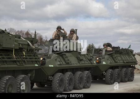 Us-Marines mit 4 Light Armored Reconnaissance Bataillon ein Konvoi von LAV-25 Leichte gepanzerte Fahrzeuge an strategischen Mobilität Übung 17 (STRATMOBEX) in der Nähe von Stjordal, Norwegen, 3. Mai 2017. STRATMOBEX vorbereitet und beweglicher Anlagen aus Höhle Seiten des Marine Corps der Grobeinstellung Programm in Norwegen (MCPP-N) die Fähigkeit zur schnellen Bereitstellung von Kräften überall in Europa NATO-Verbündeten zu verteidigen, zu testen. MCPP-N-Ausrüstung ist in Norwegen Reaktionszeiten für Operationen in der Region zu reduzieren. Stockfoto