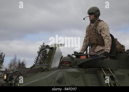 Us-Marines mit 4 Light Armored Reconnaissance Battalion, 4th Marine Division, leiten Sie einen Konvoi von LAV-25 Leichte gepanzerte Fahrzeuge an strategischen Mobilität Übung 17 (STRATMOBEX) in Frigaard, Norwegen, 3. Mai 2017. STRATMOBEX alle Entitäten, die in der Marine Corps Vorpositionierung Programm - Norwegen (MCPP-N) allgemeine Reaktionsfähigkeit für Global Operations zu bewerten. MCPP-N ermöglicht die Marines zu rasch in Verteidigung unserer NATO-Verbündeten mit einer glaubwürdigen Marine Air Ground Task Force reagieren. Stockfoto