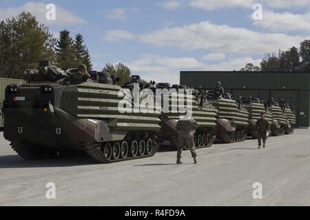 Us-Marines mit dem 2. Transport Support Bataillons, Bekämpfung der Logistik Regiment 2, 2 Marine Logistics Group einen Konvoi von Angriff Amphibienfahrzeuge als Teil der strategischen Mobilität Übung 17 (STRATMOBEX) in Frigaard, Norwegen, 3. Mai 2017 vorbereiten. STRATMOBEX war ein Logistik-Übung durchgeführt, um die effiziente Bewegung der Ausrüstung aus Höhle Seiten des Marine Corps der Grobeinstellung Programm in Norwegen (MCPP-N) zu verbessern. MCPP-N ermöglicht die schnelle Bereitstellung von Geräten von einem Standort für globale expeditionary Operations. Stockfoto