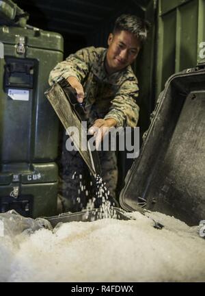 Pazifik (3. Mai 2017) Lance Cpl. John Laparejo, ein Eingeborener von Laoag City, Philippinen, zugeordnet zu den 15 Marine Expeditionary Unit (MEU), gießt Salz dient als Erdung Komponente für Kommunikationssysteme in einem Behälter im Fahrzeug Stauraum an Bord der Amphibisches Schiff USS America (LHA 6). 1.800 Seeleute und 2.600 Marines, die Amerika Amphibious Ready Group (ARG) und dem 15. MEU derzeit eine zusammengesetzte Einheit Übung (COMPTUEX) vor der Küste von Südkalifornien in Vorbereitung auf die Bereitstellung des ARG später dieses Jahr. Der Amerika ARG ist Stockfoto