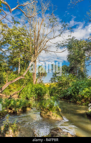 PWE Gauk Wasserfall Pyin Oo Lwin Mandalay Staat Myanmar (Burma) Stockfoto