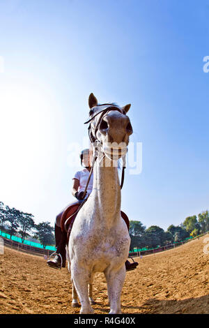 Weibliche Rider Züge das Pferd im reitkurs Stockfoto