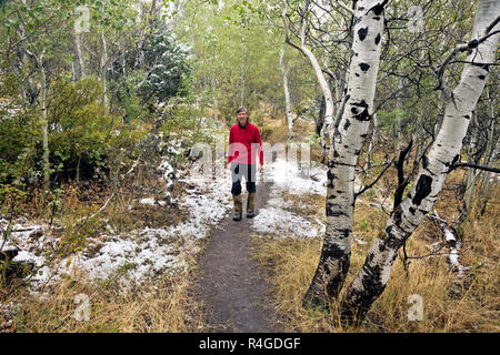 ID 00702-00 ... IDAHO - Wanderer auf den Tee Wasserkocher Trail in der Stadt Rocks National Reserve. Stockfoto