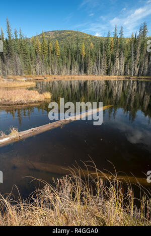 Huff See, ein Moor See in Kaniksu National Forest, Washington. Stockfoto