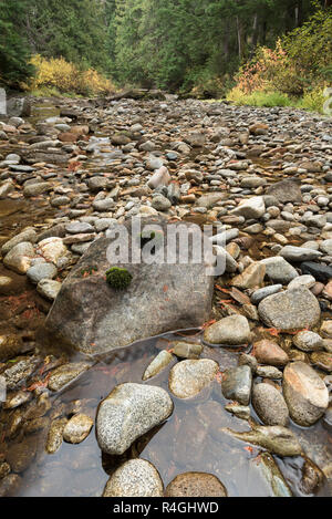 Obere Priester Fluss, Selkirk Mountains, Idaho. Stockfoto