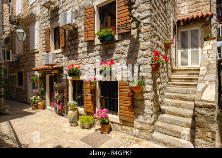 Gasse mit Häusern, geschmückt mit Blumen, Altstadt, Budva, Montenegro Stockfoto