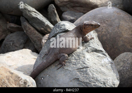 Stockfoto