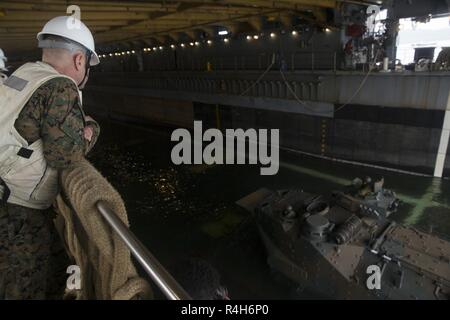 Us Marine Brig. Gen. Chris McPhillips Uhren als Mitglieder der Japan Masse Verteidigung-kraft (JGSDF) Board die USS Ashland in Subic Bay, Philippinen, Oktober 3, 2018. Das US Marine Corps Stockfoto