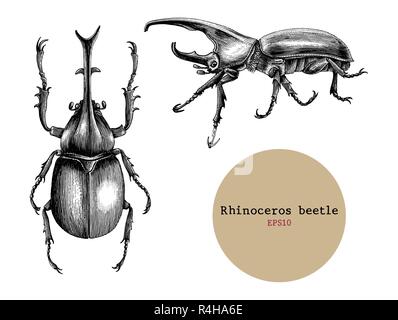 Rhinoceros beetle Handzeichnung vintage Gravur Abbildung, Zeichnung Design für tattoo Stock Vektor