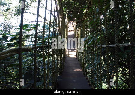 Holzbrücke zwischen Bäumen Stockfoto