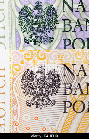 Polnische Banknoten, close-up Stockfoto