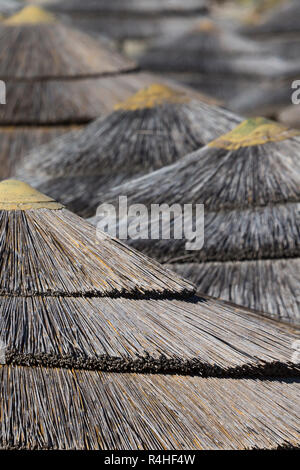 Detail der geflochtenen Sonnenschirme über Reihen am Strand in Zypern. Stockfoto