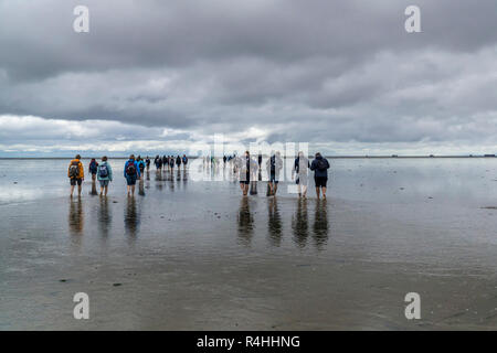 Nordfriesland, Watt wandern auf der Hallig Oland, Wattwanderung zur Hallig Oland Stockfoto