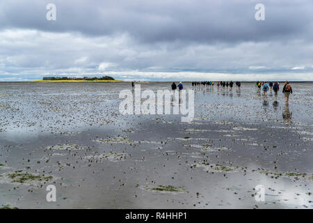 Nordfriesland, Watt wandern und der Hallig Oland, Wattwanderung und der Hallig Oland Stockfoto