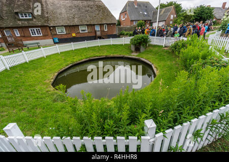 Nordfriesland, Wassertank der werfenden Hallig Oland, Wasserspeicher der Warft Hallig Oland Stockfoto