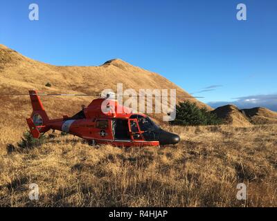 Eine Air Station Kodiak MH-65 Dolphin helicopter Aircrew führt ins Landesinnere Suche und Rettung Ausbildung auf Ugak Insel, in der Nähe von Kodiak, Alaska, Nov. 21, 2018. Inland SAR-Schulung ist von entscheidender Bedeutung für Kodiak Besatzungen, wie sie häufig nicht-maritimen SAR-Fällen in der Binnenschifffahrt Umgebungen durch. U.S. Coast Guard Foto von Leutnant Jeff Mistrick Stockfoto