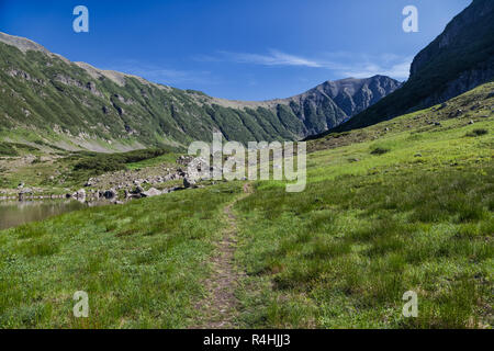 Flora Kamtschatkas. Wälder und Felder. Die Natur von Kamtschatka. Lan Stockfoto