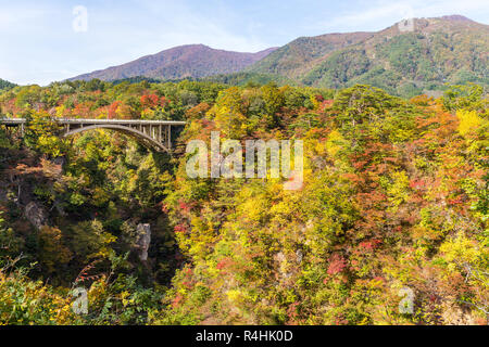 Herbstfarben der Naruko Schlucht in Japan Stockfoto