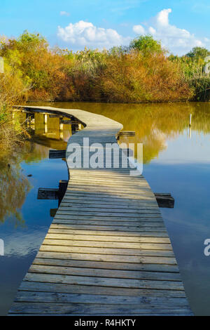 Blick auf einer erhöhten Fußweg über das Wasser in der En Afek Nature Reserve, im Norden Israels Stockfoto