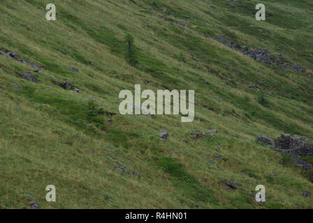 Berglandschaft. Hochland, die Berge, Schluchten und Täler. Die Steine auf der Piste Stockfoto