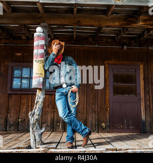 Kuh junge Geist Stockfoto