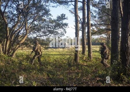 Marines mit Bataillon Landung Team, 1.BATAILLON, 2. Marine Regiment, 22 Marine Expeditionary Unit, klar die Baumgrenze, während ein M1A1 Abrams Kampfpanzer löscht eine Landing Zone in einer amphibischen Angriff während der kombinierten Training Unit Übung auf der Marine Corps Base Camp Lejeune, N.C., Okt. 31, 2018. COMPTUEX ist die letzte Übung vor der Bereitstellung, dass der kombinierte Kearsarge Amphibious Ready Gruppe und Fähigkeiten 22 Marine Expeditionary Unit AAV/militärische Operationen auf See und Projekt Power an Land durch gemeinsame Planung und Durchführung von anspruchsvollen und realistischen Szenario Verhalten bescheinigt Stockfoto