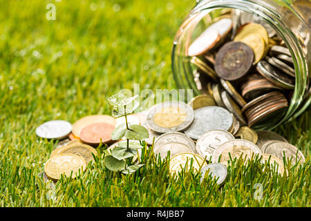 Pflanze wächst in Münzen Glas für Geld auf dem grünen Rasen Stockfoto