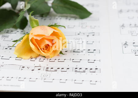 zum Valentinstag Stockfoto