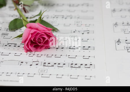 zum Valentinstag Stockfoto