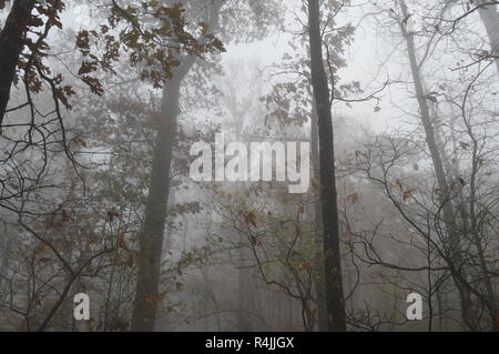 Signal Hill, Mount Magazine, Arkansas, dem höchsten Punkt in Arkansas. Stockfoto