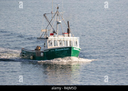 Fischerboote in einem Dock in Gloucester, MA Stockfoto