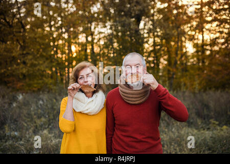 Ein älteres Ehepaar stand in einem Herbst Natur bei Sonnenuntergang, Spaß zu haben. Stockfoto