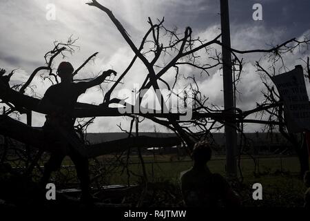 Sgt. Charles Herndon, eine 23-jährige Combat Engineer bei der Bekämpfung der Logistik Bataillon 31, sitzt auf dem Glied von einem Baum an der Tinian Baseballfeld niedergeworfen, Tinian, Commonwealth der Nördlichen Marianen, November 1, 2018. Marines mit dem 31 Marine Expeditionary Unit und CLB-31 auf Tinian Okt. 29./30. kam in der Super Typhoon Yutu als Teil der US-Verteidigung Unterstützung der zivilen Behörden Hilfsmaßnahmen in Tinian, CNMI. Die Marines kam auf Antrag der CNMI Beamten und der US-amerikanischen Federal Emergency Management Agency zu Hilfsaktionen in der Yutu, der größten Typhoon unterstützen Stockfoto