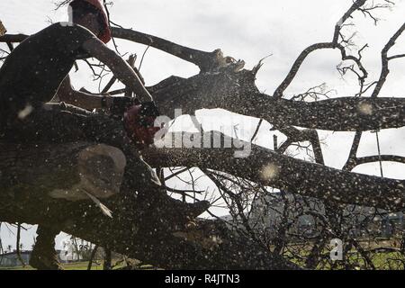 Sgt. Charles Herndon, eine 23-jährige Combat Engineer bei der Bekämpfung der Logistik Bataillon 31, sitzt auf dem Glied von einem Baum an der Tinian Baseballfeld niedergeworfen, Tinian, Commonwealth der Nördlichen Marianen, November 1, 2018. Marines mit dem 31 Marine Expeditionary Unit und CLB-31 auf Tinian Okt. 29./30. kam in der Super Typhoon Yutu als Teil der US-Verteidigung Unterstützung der zivilen Behörden Hilfsmaßnahmen in Tinian, CNMI. Die Marines kam auf Antrag der CNMI Beamten und der US-amerikanischen Federal Emergency Management Agency zu Hilfsaktionen in der Yutu, der größten Typhoon unterstützen Stockfoto