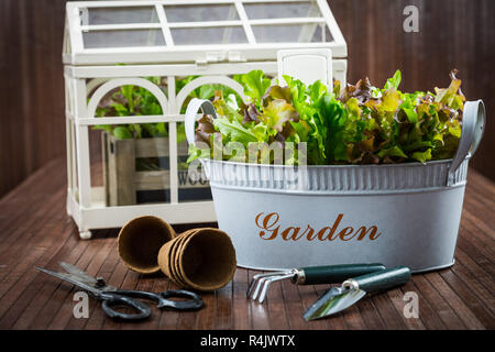 Bepflanzung Stockfoto