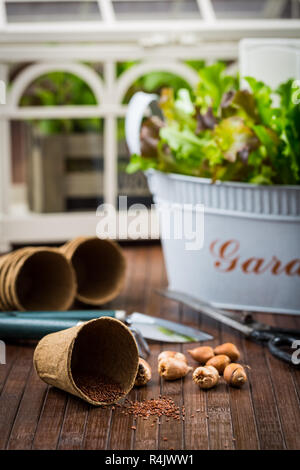 Bepflanzung Stockfoto
