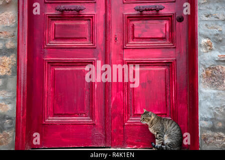 Ein niedliches tabby Katze sitzt neben einem roten Holzhaus Tür auf der Straße. Stockfoto