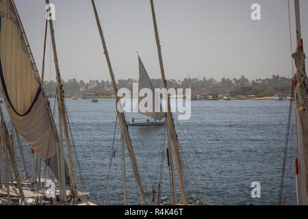 Holzboote Feluke auf dem Nil in Assuan, Ägypten, Nordafrika Stockfoto