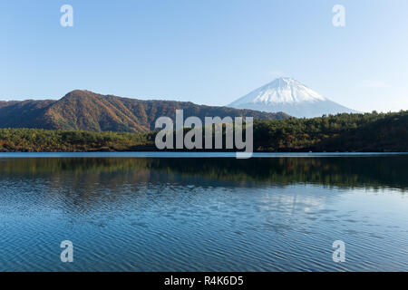 Lake saiko und Fuji Berg Stockfoto