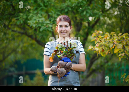 Foto von Frau mit rote Beete im Garten Stockfoto