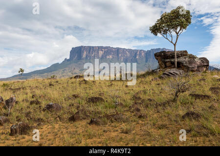 Verfolgen Sie nach Mount Roraima - Venezuela, Südamerika Stockfoto