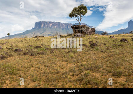 Verfolgen Sie nach Mount Roraima - Venezuela, Südamerika Stockfoto