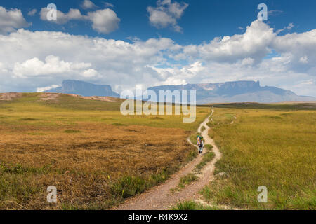 Verfolgen Sie nach Mount Roraima - Venezuela, Südamerika Stockfoto