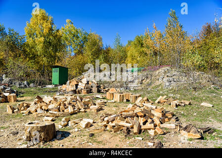 Gehackte Brennholzstämme auf Erde in Hof Stockfoto