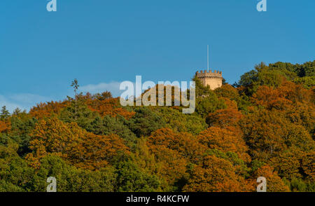 Grant Park Forres, Moray, Schottland in herbstlichen Farben. Stockfoto