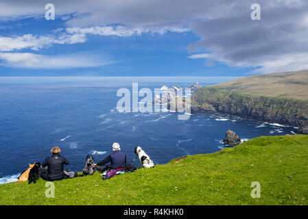 Vogelbeobachter mit Hunden beobachten Küsten mit Klippen und Stacks, Heimat Zucht Seevögel in Hermaness, Unst, Shetlandinseln, Schottland, Großbritannien Stockfoto