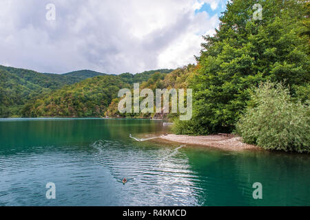 Mehrere Wasserfälle Eines der Erstaunlichsten Plitvicer Seen, Kroatien. Ein wirklich Jungfrau und wunderbaren Stück Natur. Stockfoto