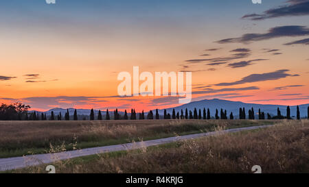 Von Bäumen gesäumten Straße in der Toskana bei Sonnenuntergang Stockfoto