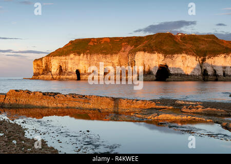 Kreidefelsen Sie bei Thornwick Bay Flamborough Head East Yorkshire England Reiten Stockfoto